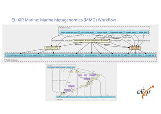 ELIXIR Marine: Marine Metagenomics (MMG) Workflow
 