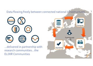 Data flowing freely between connected national infrastructures
Data
Tools
Standards
Compute
Training and
Skills
…delivered in partnership with
research communities...the
ELIXIR Communities
 