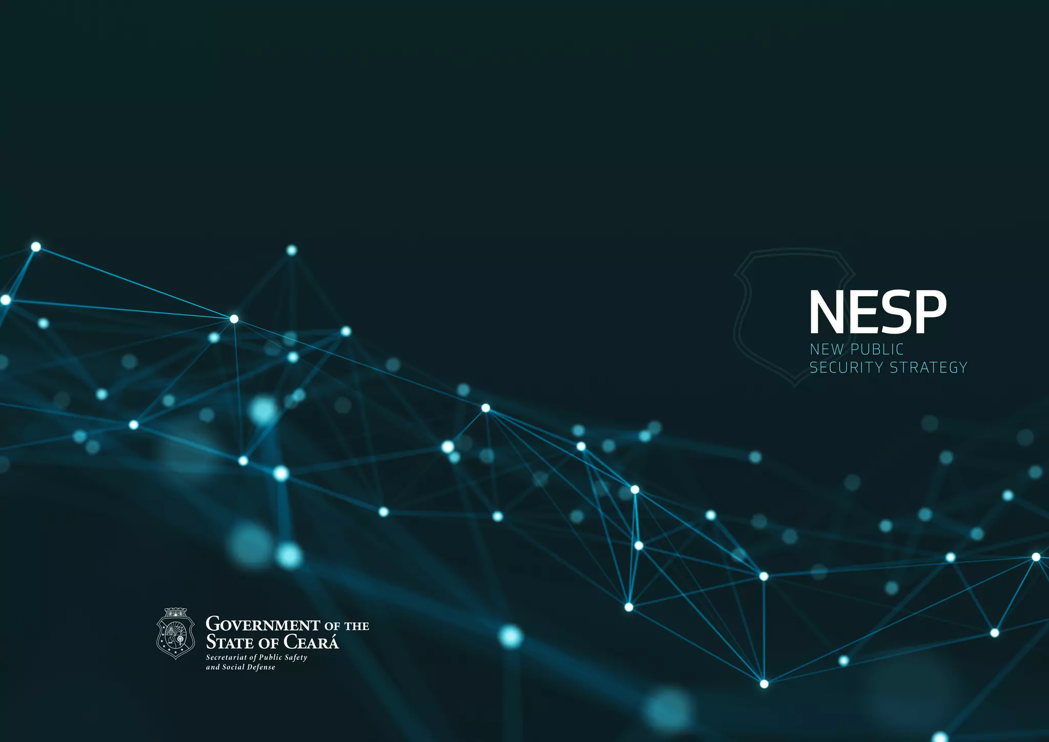 NESP: New Public Security Strategy (EN-US)