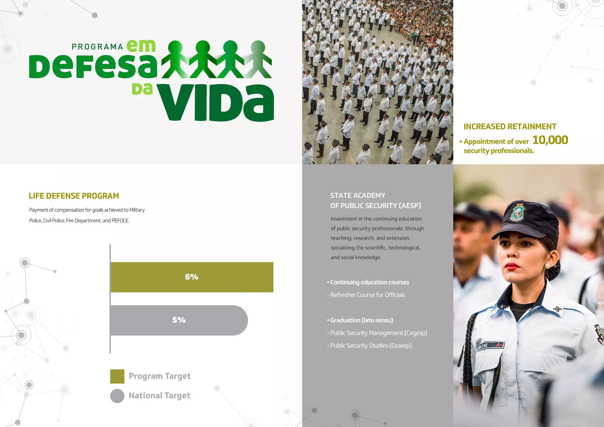 NESP: New Public Security Strategy (EN-US)