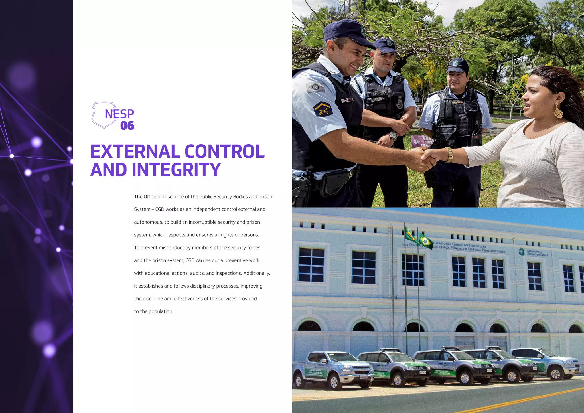 NESP: New Public Security Strategy (EN-US)