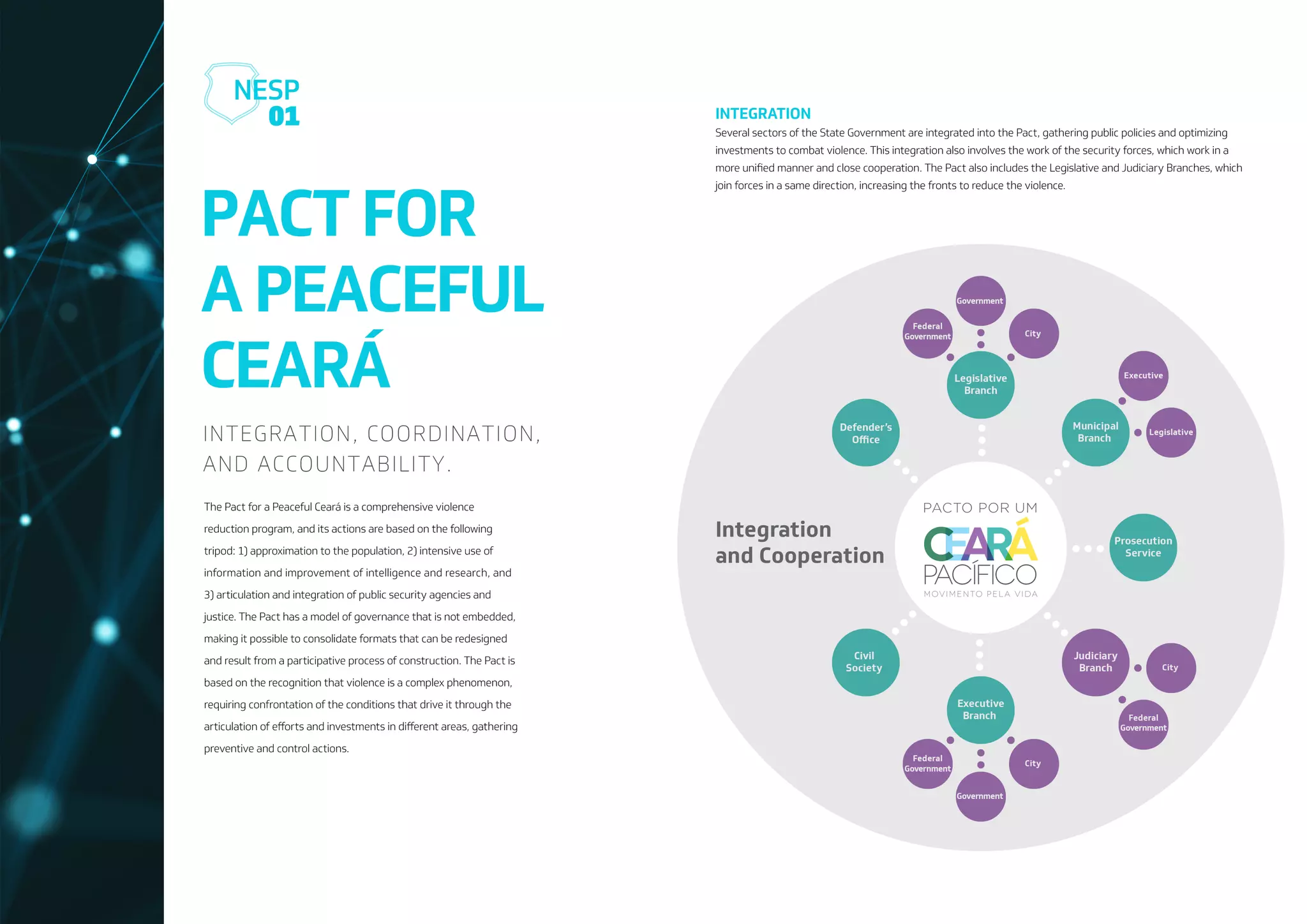 NESP: New Public Security Strategy (EN-US)