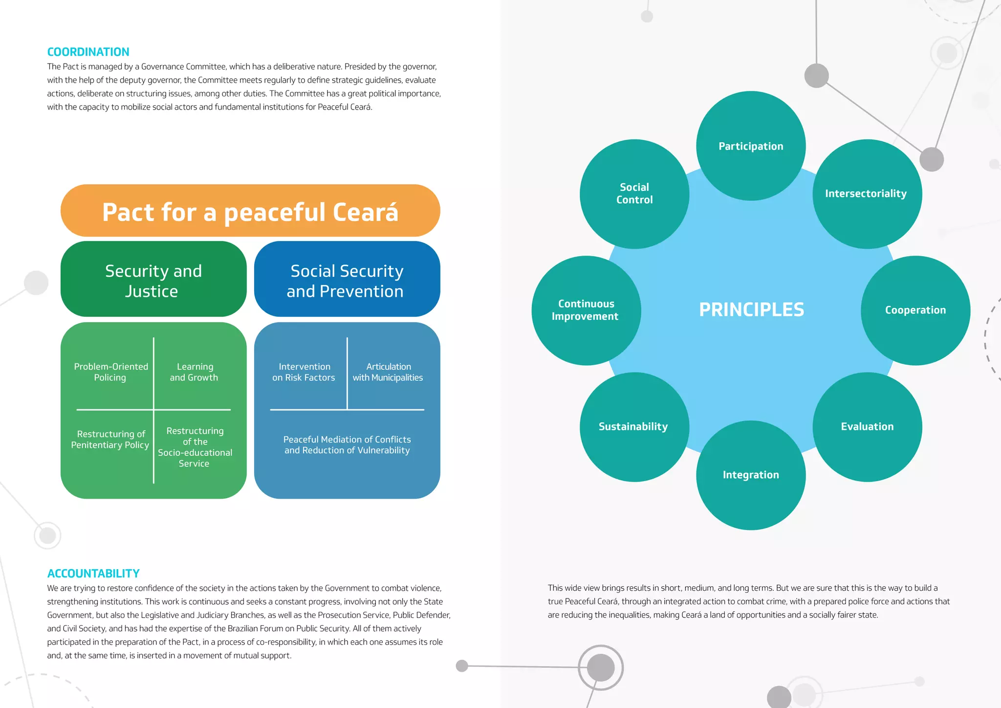 NESP: New Public Security Strategy (EN-US)