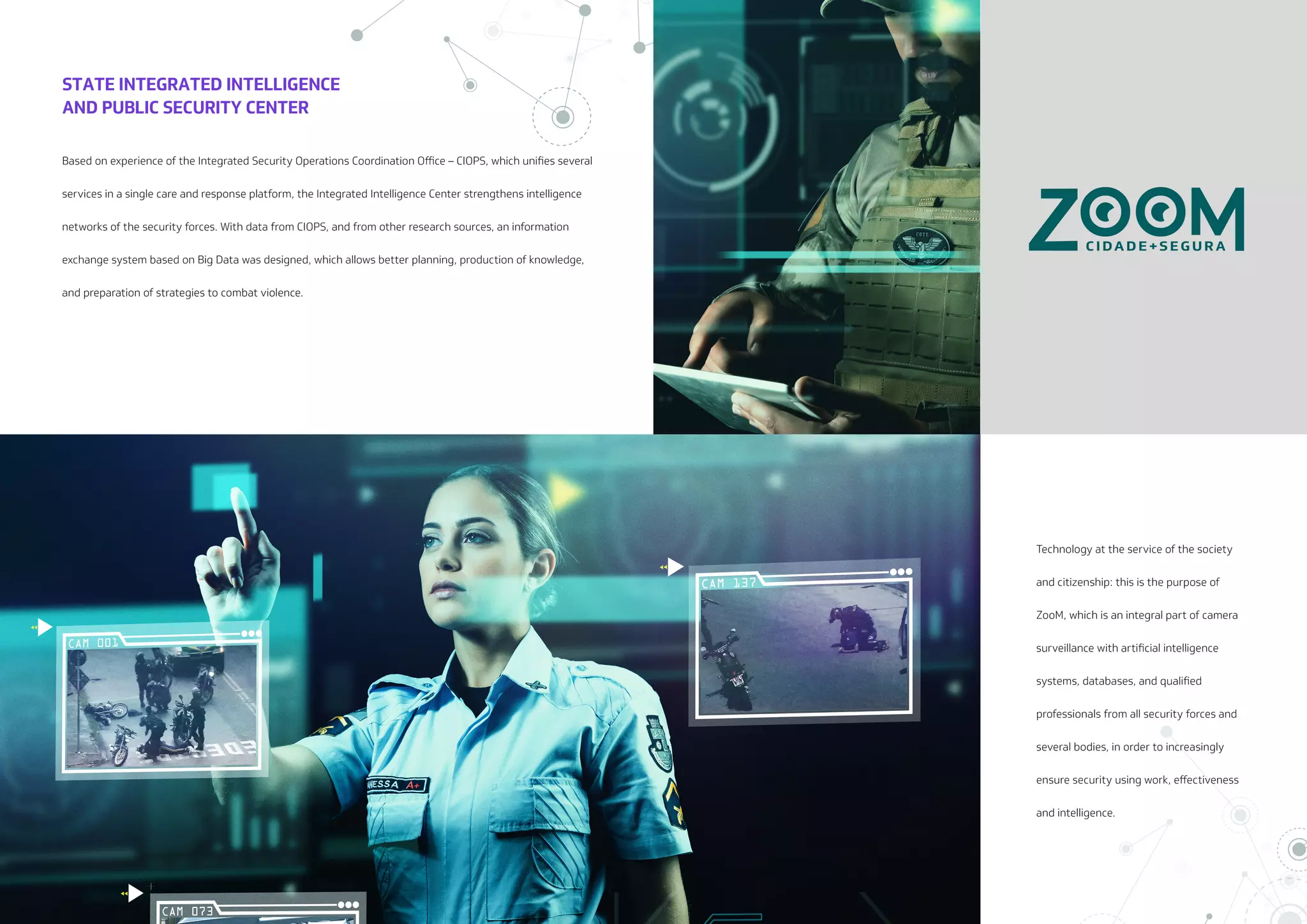 NESP: New Public Security Strategy (EN-US)