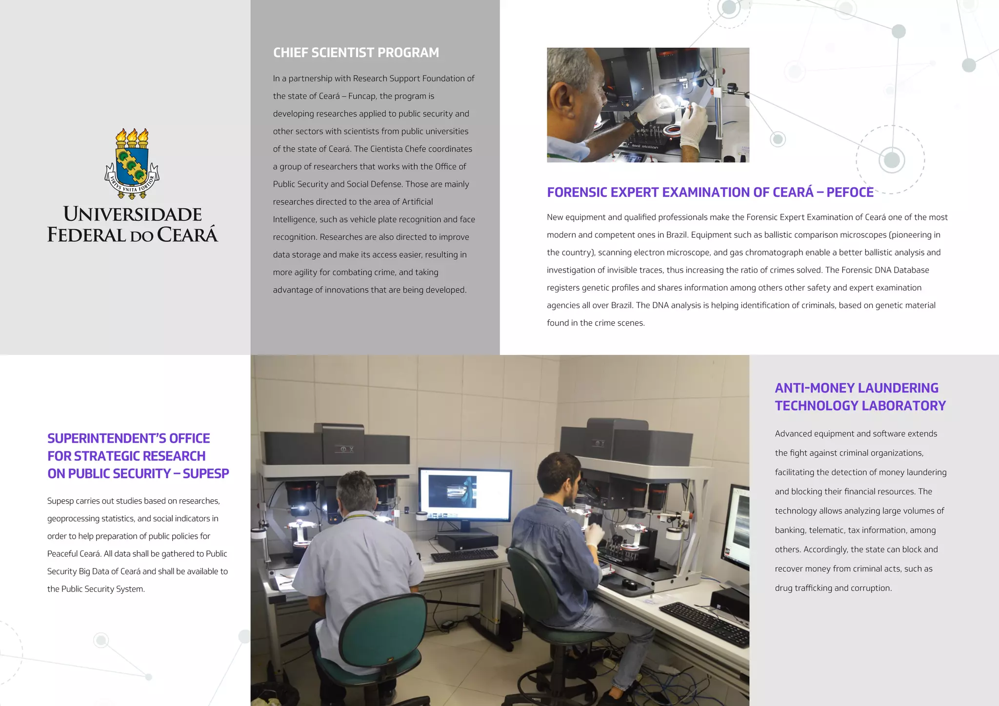 NESP: New Public Security Strategy (EN-US)