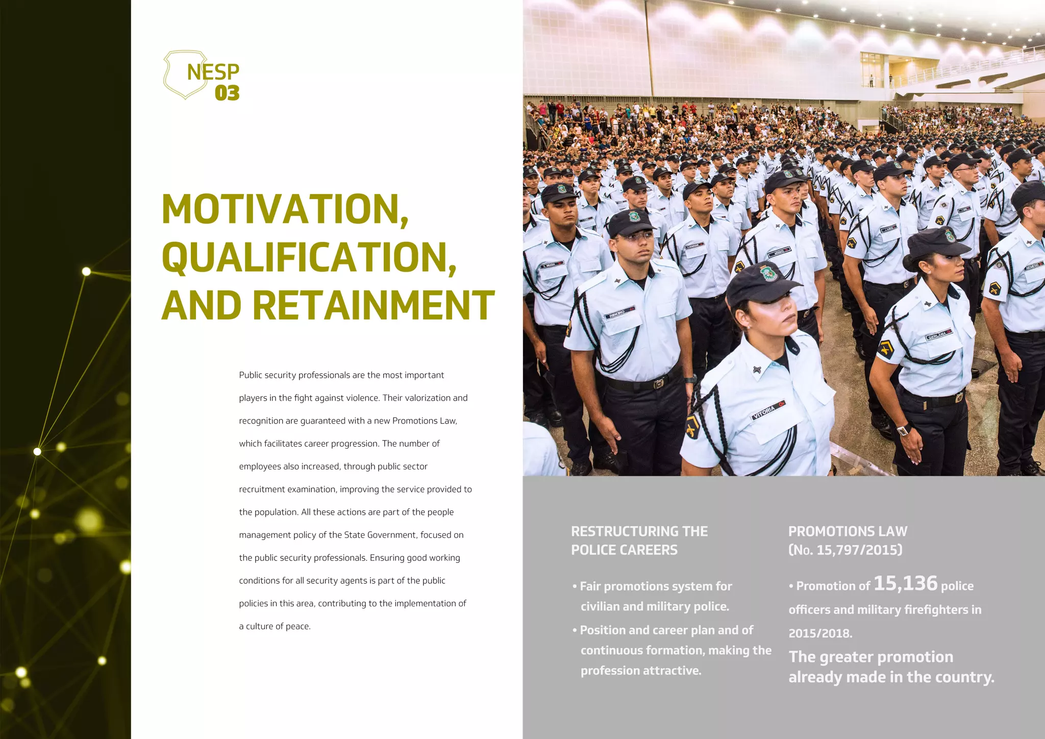 NESP: New Public Security Strategy (EN-US)