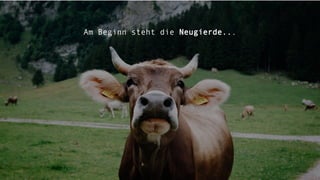 07.05.19 Digitale Innovation im Tourismus 15
Am Beginn steht die Neugierde...
 