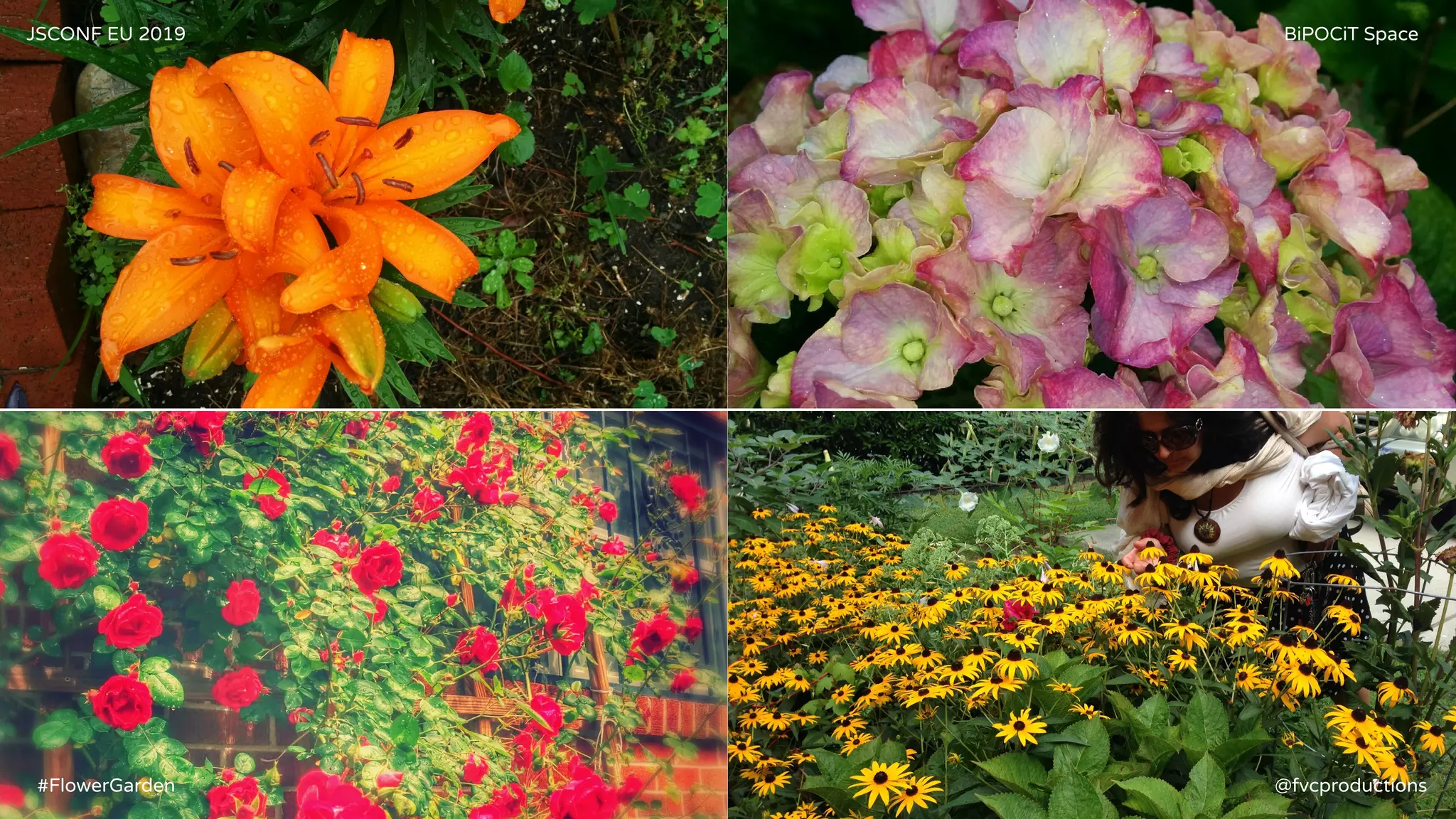 JSCONF EU 2019 BiPOCiT Space
@fvcproductions#FlowerGarden
 