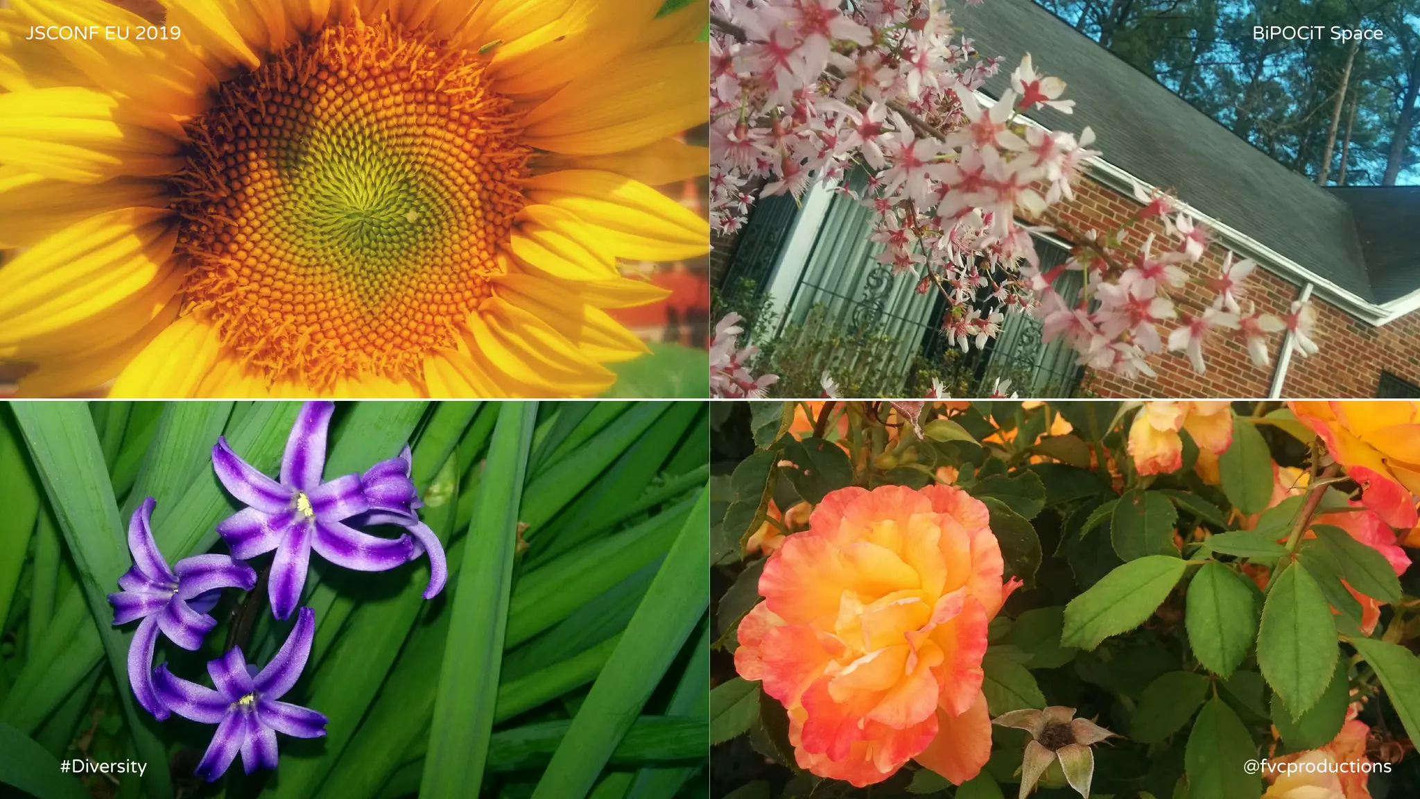 JSCONF EU 2019 BiPOCiT Space
@fvcproductions#Diversity
 