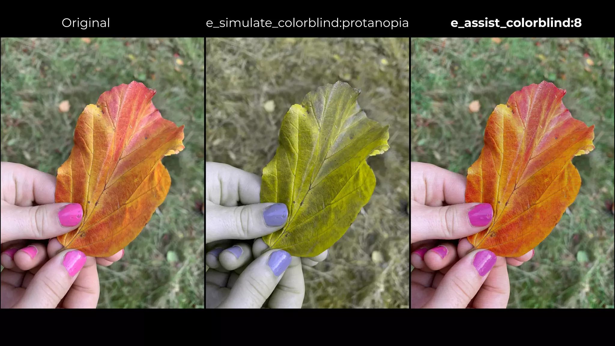 Original e_simulate_colorblind:protanopia e_assist_colorblind:8
 