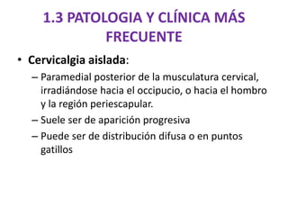 1.3 PATOLOGIA Y CLÍNICA MÁS
FRECUENTE
• Cervicalgia aislada:
– Paramedial posterior de la musculatura cervical,
irradiándose hacia el occipucio, o hacia el hombro
y la región periescapular.
– Suele ser de aparición progresiva
– Puede ser de distribución difusa o en puntos
gatillos
 