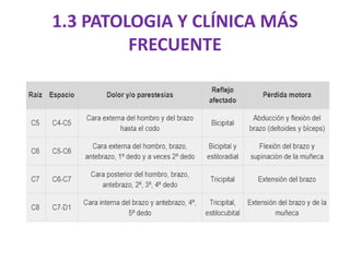 1.3 PATOLOGIA Y CLÍNICA MÁS
FRECUENTE
 
