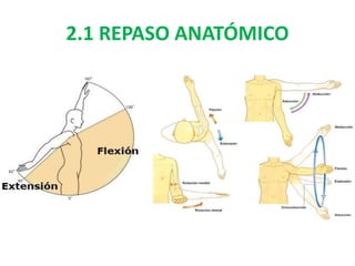 2.1 REPASO ANATÓMICO
 