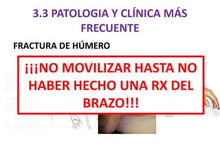 3.3 PATOLOGIA Y CLÍNICA MÁS
FRECUENTE
FRACTURA DE HÚMERO
• Etiologia:
– Gente joven en traumatismos de gran impacto.
– Gente mayor por caídas desde su propia altura:
osteoporosis + caídas poniendo el brazo.
– Contracciones musculares bruscas y violentas por
convulsiones, o descargas eléctricas
¡¡¡NO MOVILIZAR HASTA NO
HABER HECHO UNA RX DEL
BRAZO!!!
 