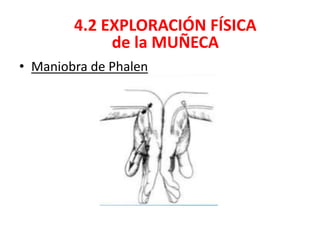• Maniobra de Phalen
4.2 EXPLORACIÓN FÍSICA
de la MUÑECA
 