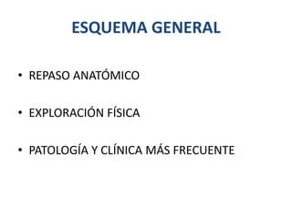 ESQUEMA GENERAL
• REPASO ANATÓMICO
• EXPLORACIÓN FÍSICA
• PATOLOGÍA Y CLÍNICA MÁS FRECUENTE
 