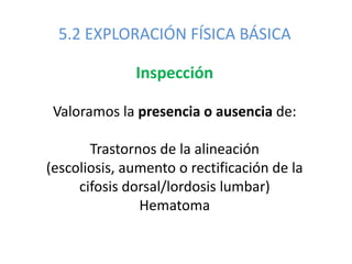 5.2 EXPLORACIÓN FÍSICA BÁSICA
Inspección
Valoramos la presencia o ausencia de:
Trastornos de la alineación
(escoliosis, aumento o rectificación de la
cifosis dorsal/lordosis lumbar)
Hematoma
 
