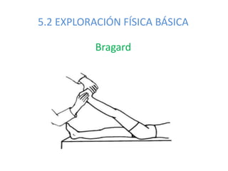 5.2 EXPLORACIÓN FÍSICA BÁSICA
Bragard
 