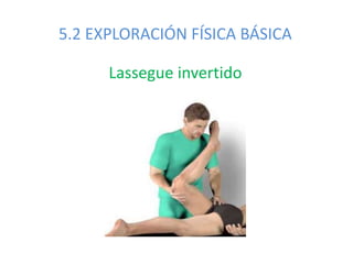 5.2 EXPLORACIÓN FÍSICA BÁSICA
Lassegue invertido
 