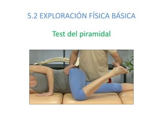5.2 EXPLORACIÓN FÍSICA BÁSICA
Test del piramidal
 
