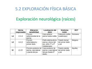 5.2 EXPLORACIÓN FÍSICA BÁSICA
Exploración neurológica (raíces)
 