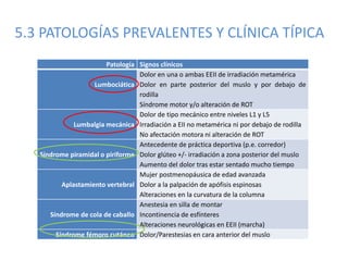 5.3 PATOLOGÍAS PREVALENTES Y CLÍNICA TÍPICA
Patología Signos clínicos
Lumbociática
Dolor en una o ambas EEII de irradiación metamérica
Dolor en parte posterior del muslo y por debajo de
rodilla
Síndrome motor y/o alteración de ROT
Lumbalgia mecánica
Dolor de tipo mecánico entre niveles L1 y L5
Irradiación a EII no metamérica ni por debajo de rodilla
No afectación motora ni alteración de ROT
Síndrome piramidal o piriforme
Antecedente de práctica deportiva (p.e. corredor)
Dolor glúteo +/- irradiación a zona posterior del muslo
Aumento del dolor tras estar sentado mucho tiempo
Aplastamiento vertebral
Mujer postmenopáusica de edad avanzada
Dolor a la palpación de apófisis espinosas
Alteraciones en la curvatura de la columna
Síndrome de cola de caballo
Anestesia en silla de montar
Incontinencia de esfínteres
Alteraciones neurológicas en EEII (marcha)
Síndrome fémoro cutáneo Dolor/Parestesias en cara anterior del muslo
 
