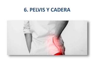 6. PELVIS Y CADERA
 