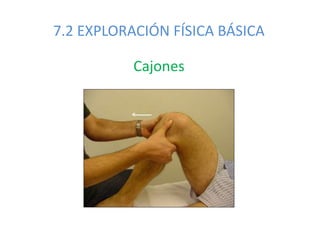 7.2 EXPLORACIÓN FÍSICA BÁSICA
Cajones
 