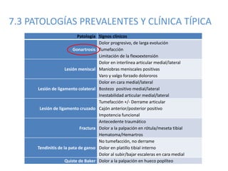 7.3 PATOLOGÍAS PREVALENTES Y CLÍNICA TÍPICA
Patología Signos clínicos
Gonartrosis
Dolor progresivo, de larga evolución
Tumefacción
Limitación de la flexoextensión
Lesión meniscal
Dolor en interlínea articular medial/lateral
Maniobras meniscales positivas
Varo y valgo forzado dolororos
Lesión de ligamento colateral
Dolor en cara medial/lateral
Bostezo positivo medial/lateral
Inestabilidad articular medial/lateral
Lesión de ligamento cruzado
Tumefacción +/- Derrame articular
Cajón anterior/posterior positivo
Impotencia funcional
Fractura
Antecedente traumático
Dolor a la palpación en rótula/meseta tibial
Hematoma/Hemartros
Tendinitis de la pata de ganso
No tumefacción, no derrame
Dolor en platillo tibial interno
Dolor al subir/bajar escaleras en cara medial
Quiste de Baker Dolor a la palpación en hueco poplíteo
 
