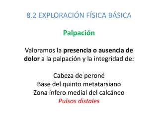8.2 EXPLORACIÓN FÍSICA BÁSICA
Palpación
Valoramos la presencia o ausencia de
dolor a la palpación y la integridad de:
Cabeza de peroné
Base del quinto metatarsiano
Zona ínfero medial del calcáneo
Pulsos distales
 
