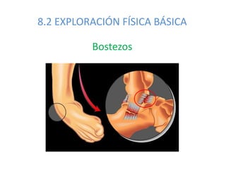 8.2 EXPLORACIÓN FÍSICA BÁSICA
Bostezos
 