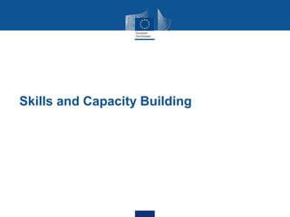 Skills and Capacity Building
 