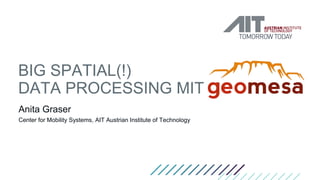 BIG SPATIAL(!)
DATA PROCESSING MIT
Anita Graser
Center for Mobility Systems, AIT Austrian Institute of Technology
 