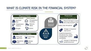 WHAT IS CLIMATE RISK IN THE FINANCIAL SYSTEM?
2 CLIMATE FINANCE ADVISORS, LLC
 