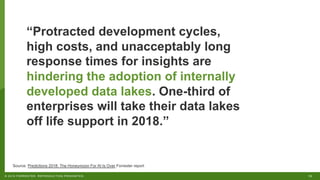 13© 2019 FORRESTER. REPRODUCTION PROHIBITED.
“Protracted development cycles,
high costs, and unacceptably long
response times for insights are
hindering the adoption of internally
developed data lakes. One-third of
enterprises will take their data lakes
off life support in 2018.”
Source: Predictions 2018: The Honeymoon For AI Is Over Forrester report
 