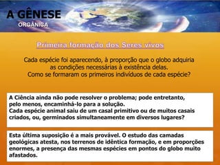 A GÊNESE
Cada espécie foi aparecendo, à proporção que o globo adquiria
as condições necessárias à existência delas.
Como se formaram os primeiros indivíduos de cada espécie?
A Ciência ainda não pode resolver o problema; pode entretanto,
pelo menos, encaminhá-lo para a solução.
Cada espécie animal saiu de um casal primitivo ou de muitos casais
criados, ou, germinados simultaneamente em diversos lugares?
Esta última suposição é a mais provável. O estudo das camadas
geológicas atesta, nos terrenos de idêntica formação, e em proporções
enormes, a presença das mesmas espécies em pontos do globo muito
afastados.
ORGÂNICA
 