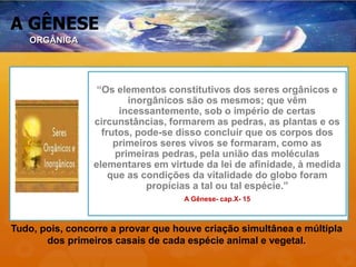 A GÊNESE
“Os elementos constitutivos dos seres orgânicos e
inorgânicos são os mesmos; que vêm
incessantemente, sob o império de certas
circunstâncias, formarem as pedras, as plantas e os
frutos, pode-se disso concluir que os corpos dos
primeiros seres vivos se formaram, como as
primeiras pedras, pela união das moléculas
elementares em virtude da lei de afinidade, à medida
que as condições da vitalidade do globo foram
propícias a tal ou tal espécie.”
A Gênese- cap.X- 15
Tudo, pois, concorre a provar que houve criação simultânea e múltipla
dos primeiros casais de cada espécie animal e vegetal.
ORGÂNICA
 