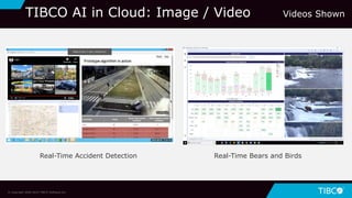 © Copyright 2000-2019 TIBCO Software Inc.
TIBCO AI in Cloud: Image / Video Videos Shown
Real-Time Accident Detection Real-Time Bears and Birds
 