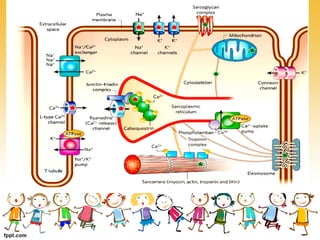 Suy tim ở trẻ em - 2019 - Đại học Y dược TPHCM | PDF