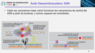 Ácido Desoxirribonucleico: ADN
• Cada vez conocemos mejor cómo funcionan los mecanismos de control del
ADN a partir de enz...