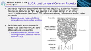 57
LUCA: Last Universal Common Ancestor
• El análisis regresivo del genoma de bacterias, arqueas y eucariotas muestra
frag...