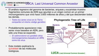 58
LUCA: Last Universal Common Ancestor
• El análisis regresivo del genoma de bacterias, arqueas y eucariotas muestra
frag...