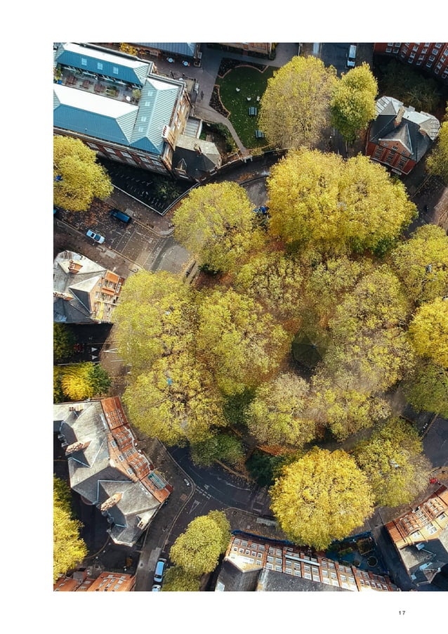 Arup 2050 scenarios four plausible futures PDF