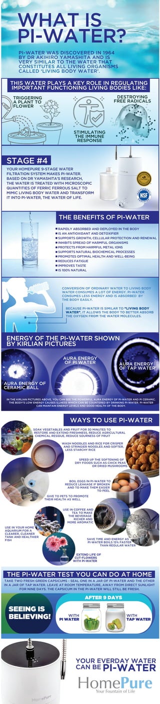 WHAT IS PI WATER?
