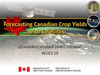 Forecasting Canadian Crop Yields
…with Satellites!
Forecasting Canadian Crop Yields
…with Satellites!
@LeanderCampbell (AAFC-Ottawa)
#EOCC19
@LeanderCampbell (AAFC-Ottawa)
#EOCC19
 