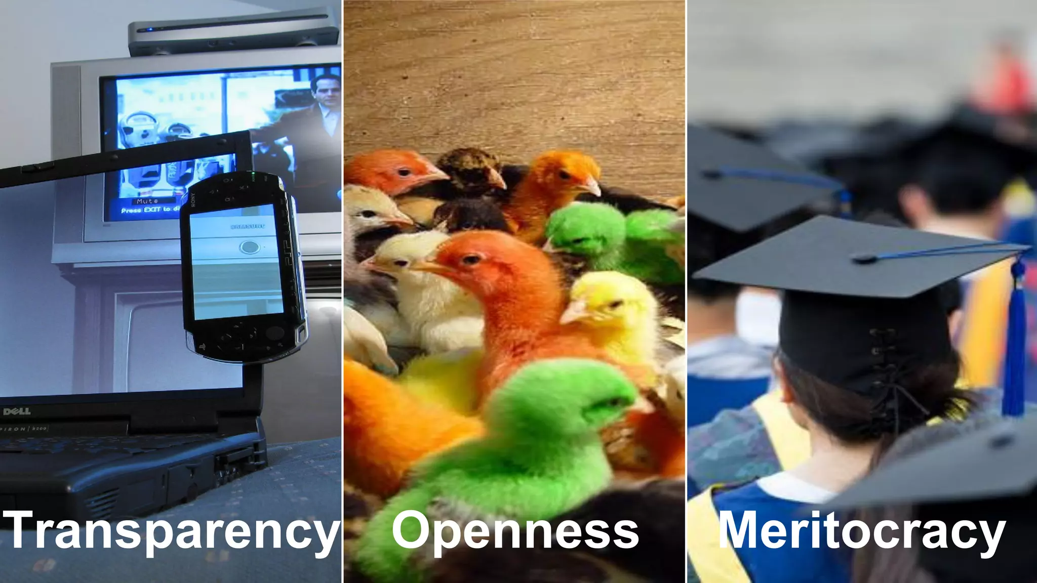 Copyright (c) 2019, Eclipse Foundation, Inc. | Made available under the Eclipse Public License 2.0 (EPL-2.0)
Transparency Openness Meritocracy
 