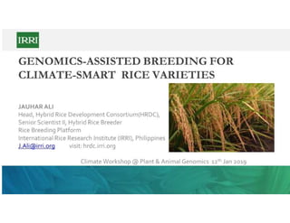 2019. jauhar ali. genomics assisted breeding for climate smart rice varieties