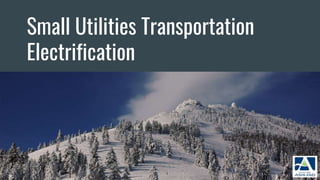 Small Utilities Transportation
Electrification
 