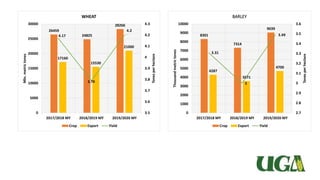 8301
7314
9039
4287
3571
4700
3.31
3
3.49
2.7
2.8
2.9
3
3.1
3.2
3.3
3.4
3.5
3.6
0
1000
2000
3000
4000
5000
6000
7000
8000
9000
10000
2017/2018 MY 2018/2019 MY 2019/2020 MY
Tonesperhectare
Thousandmetrictones
BARLEY
Crop Export Yield
26459
24825
28266
17160
15530
21000
4.17
3.79
4.2
3.5
3.6
3.7
3.8
3.9
4
4.1
4.2
4.3
0
5000
10000
15000
20000
25000
30000
2017/2018 MY 2018/2019 MY 2019/2020 MY
Tonesperhectare
Mln.metrictones
WHEAT
Crop Export Yield
 