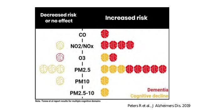 Health effects of PM2.5. Is there anything new to add? - Dr Ian Mudway